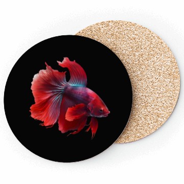 Discover Siamese fighting fish red betta fish Coasters