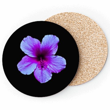 Discover Hibiscus Mystery Coasters