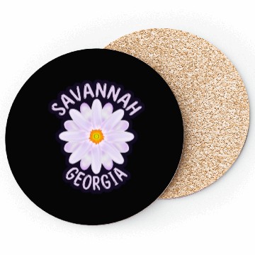 Discover Savannah Georgia Coasters