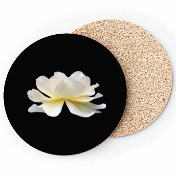Discover Lotus rose white flower Coasters