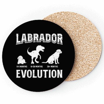 Discover Labrador EVOLUTION Labrador Lovers Funny Coasters