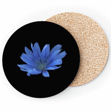 Discover blue flower blueweed purple blossom Coasters