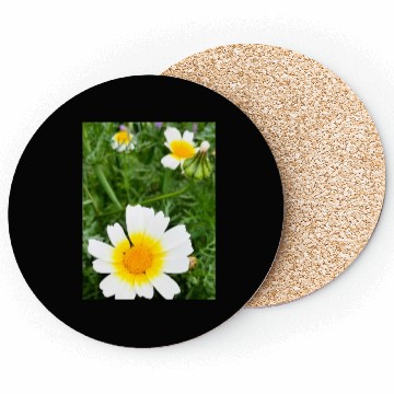 Discover Summer Bloom Coasters