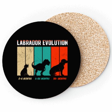 Discover Labrador EVOLUTION Labrador Lovers Funny Coasters