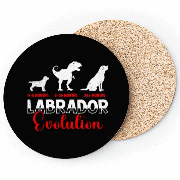 Discover Labrador EVOLUTION Labrador Lovers Funny Coasters