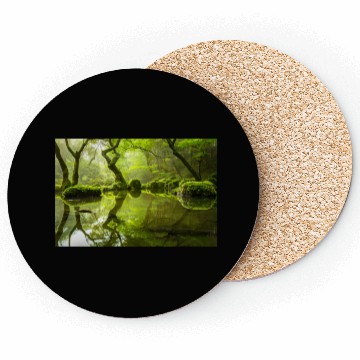 Discover Enchanted Forest Reflections in Tranquil Pond Coasters