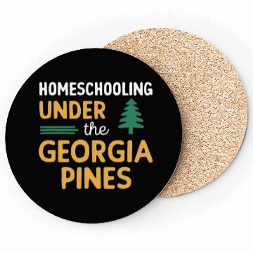 Discover Georgia Homeschool Adventures Georgia Coasters