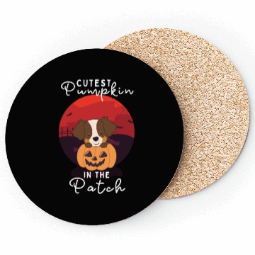 Discover Australian Shepherd cutest pumpkin in the patch Coasters