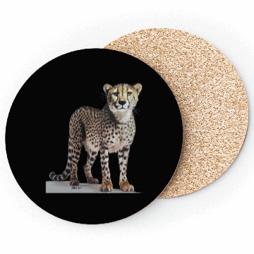 Discover Cheetah Coasters