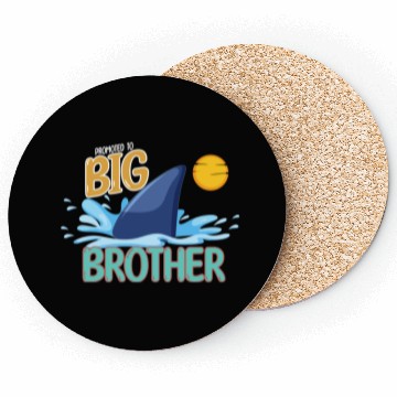 Discover Promoted to Big Brother Shark. Coasters
