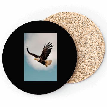 Discover Strong Eagle Coasters