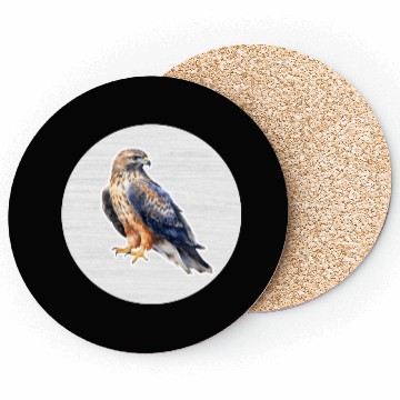Discover Hawk Watercolor Drawing Coasters