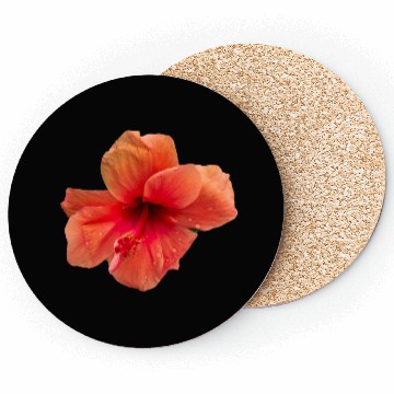 Discover Orange colour hibiscus flower Coasters
