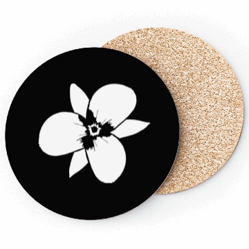 Discover White Beautiful Flower Spring Summer Nature Flower Coasters