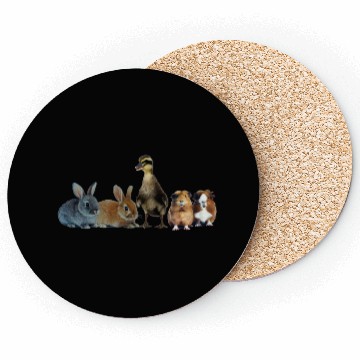 Discover Easter Coasters