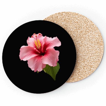 Discover Hibiscus Coasters