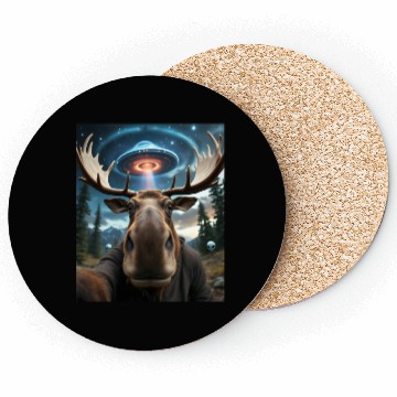 Discover Moose Coasters