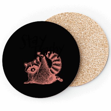 Discover Stay Trashy Raccoon – Funny Meme Coasters