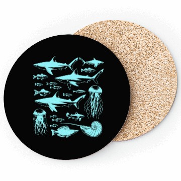 Discover Shark Fish Octopus Nature Coasters