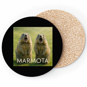 Discover Double Screaming Marmots – Echo of Surprise Coasters