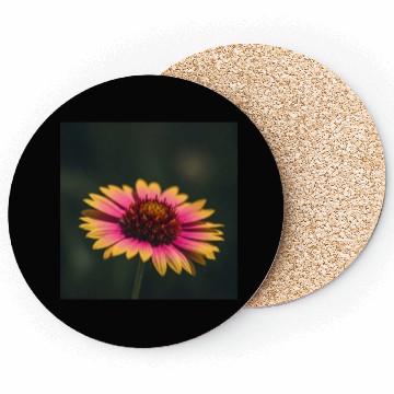 Discover American Wildflower - Elegant Nature Coasters