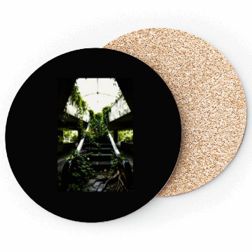 Discover Echoes of Growth Nature Reclaims the Halls Coasters