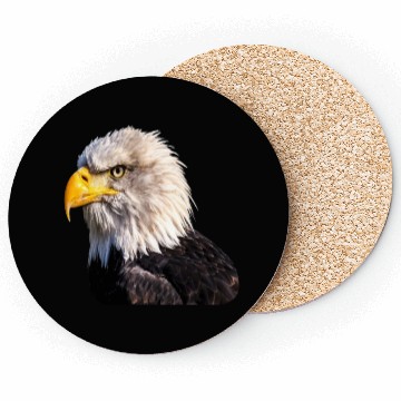 Discover 1 Eagle Coasters