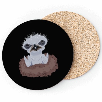 Discover Little Bald Eagle Coasters