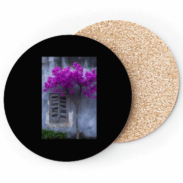 Discover Vibrant Blossom Against Rustic Wall Coasters