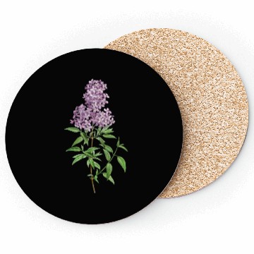 Discover Lavender Bloom Botanical Illustration Coasters