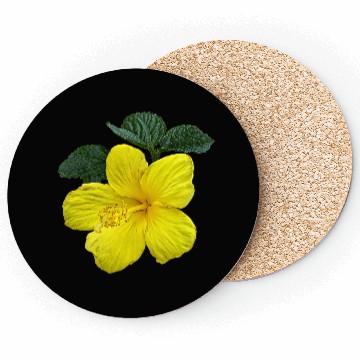 Discover One Yellow Hibiscus Coasters