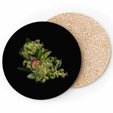 Discover Monarch Butterfly on Euonymus Coasters