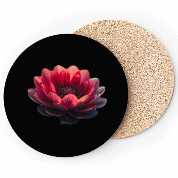 Discover Vivid Red Lotus Blossom Design Coasters