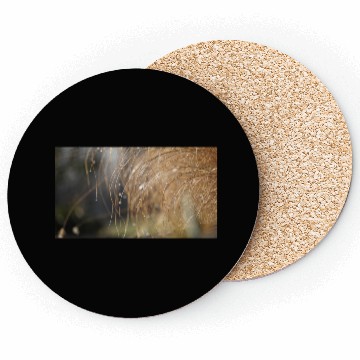 Discover Tiny Dew Drops on Delicate Golden Grass Coasters