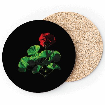 Discover Backlit Red Geranium Coasters