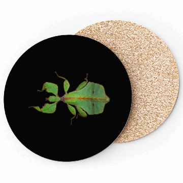 Discover Real Leaf Insect Coasters