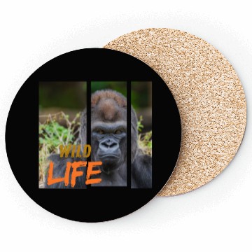 Discover Gorilla Wildlife Portrait Coasters