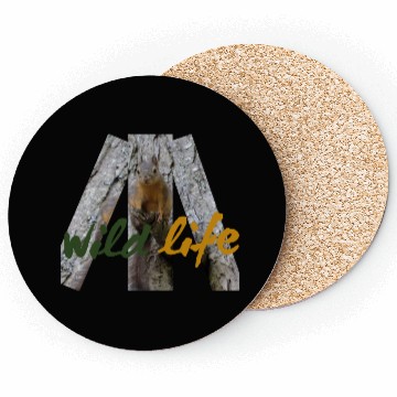Discover Wild Life Squirrel  Coasters