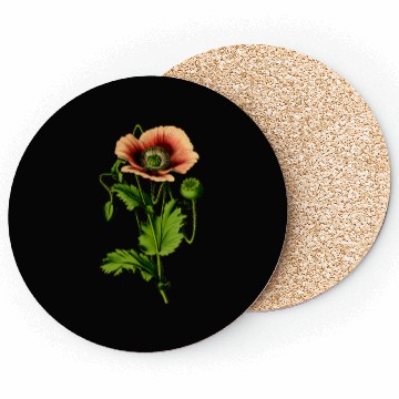 Discover Opium poppy 4 Coasters
