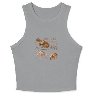 Discover Slow Loris - Animal Facts - Slow Loris - Crop Tank Top