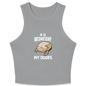 Discover It Is Wednesday My Dudes 1 Crop Tank Top