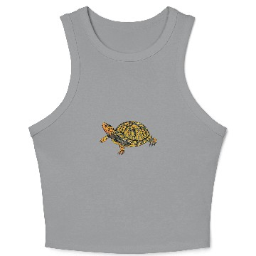 Discover Turtle Pet Box Turtle Realistic Illustration Shell Animal Crop Tank Top