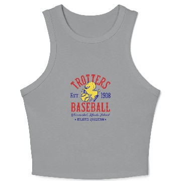 Discover Rhode Island vintages Defunct Baseball Unisex Crop Tank Top