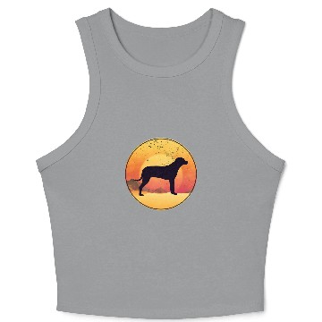 Discover Rhodesian Ridgeback Dog Breed 50 Crop Tank Top