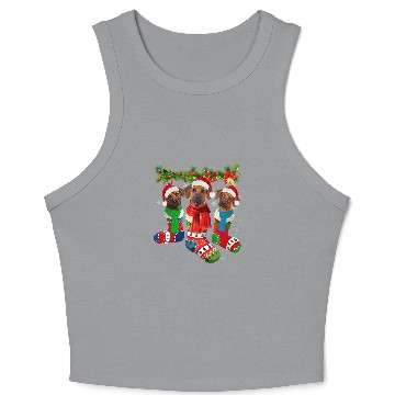 Discover Rhodesian Ridgeback In Christmas Socks Crop Tank Top