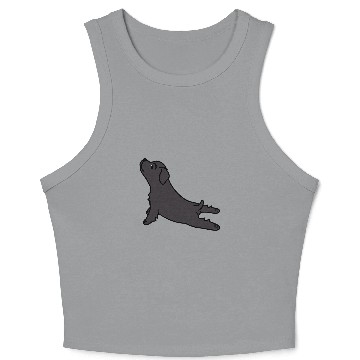 Discover Yoga Newfoundland Dog Crop Tank Top