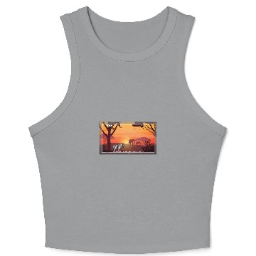 Discover Photography Zebra Pun Video Camera Crop Tank Top