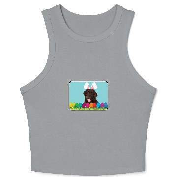 Discover Newfoundland w Bunny Ears Crop Tank Top