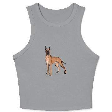 Discover Great Dane Crop Tank Top