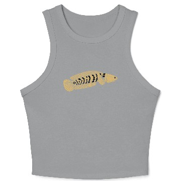Discover black and gold channa snakehead fish illustrations Crop Tank Top
